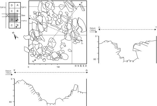 圖6-15 WS T1P11 AD~T0P11 B&c Sex
